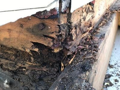 Water Damage Services